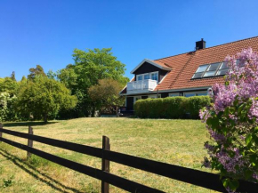 Villa Fridhem, lovely villa by the sea near Visby in Visby